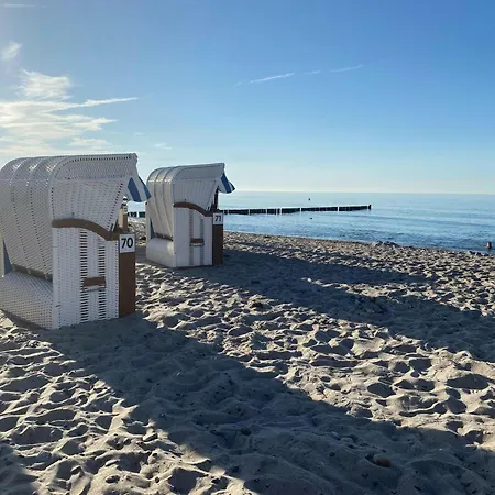 Deichgraf We 15 * Börgerende-Rethwisch