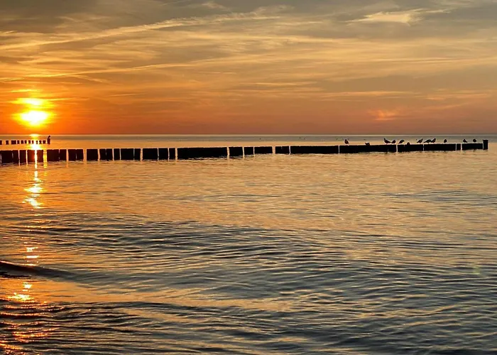 Deichgraf We 15 Börgerende-Rethwisch